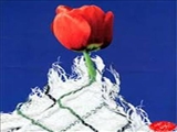 توسط شورای فرماندهی بسیج کارمندی دانشگاه شهیدمدنی آذربایجان:
