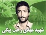 نماد بصیرت، جهاد و شهید مبارزه با نفاق